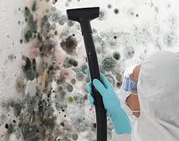 Best Biohazard Mold Removal  in Fox Lake, WI